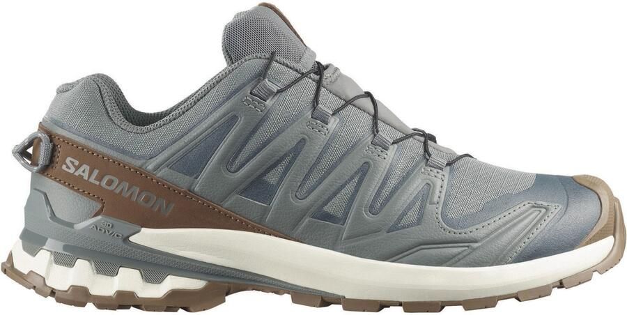 Salomon XA Pro 3D V9 GORE-TEX Lifelong Vrijetijdsschoenen 2 3 grijs