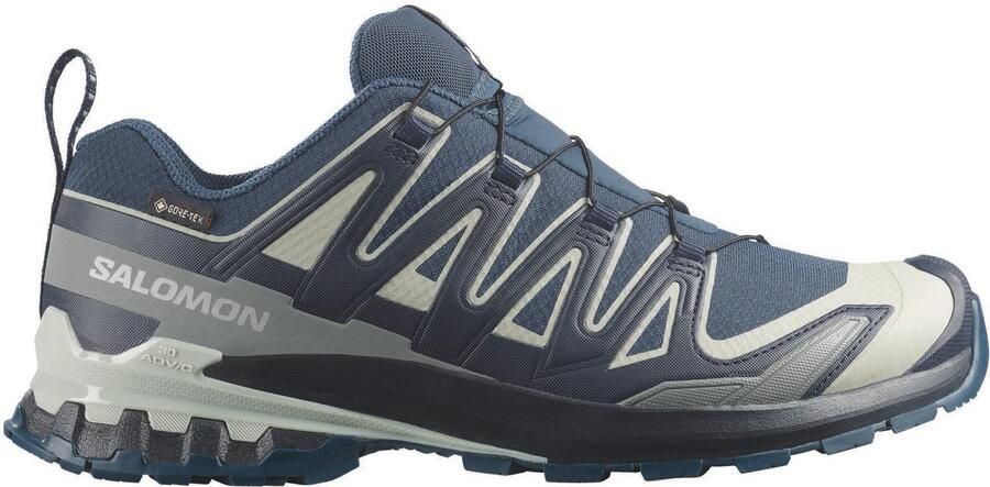 Salomon XA Pro 3D V9 GTX Multisportschoenen 2 3 grijs