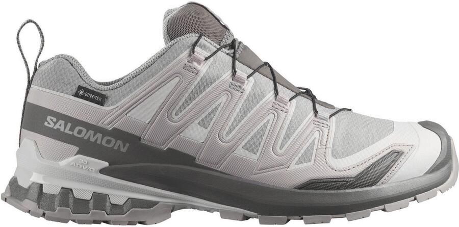 Salomon XA Pro 3D V9 GTX Multisportschoenen 2 3 grijs