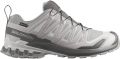 Salomon XA Pro 3D V9 GTX Multisportschoenen grijs - Lichtgrijs