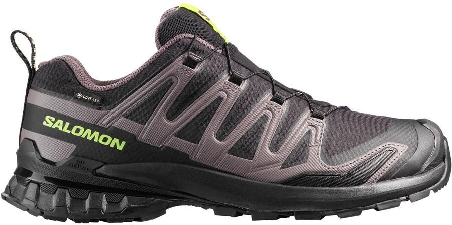Salomon XA Pro 3D V9 GTX Multisportschoenen 1 3 grijs