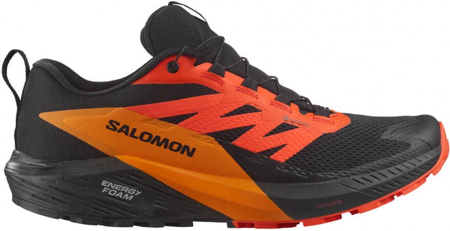 Salomon Sense Ride 5 GTX Trailrunningschoenen grijs - Foto 3