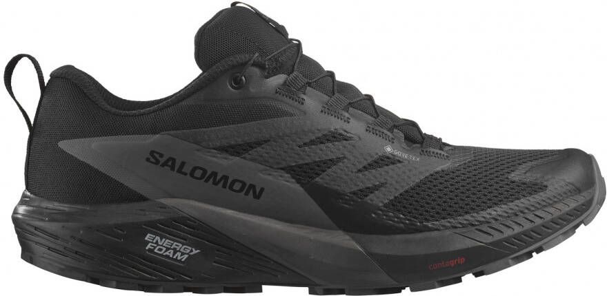 Salomon Sense Ride 5 GTX Trailrunningschoenen zwart