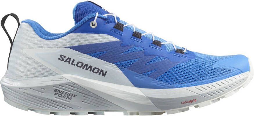 Salomon Sense Ride 5 Trailrunningschoenen grijs blauw