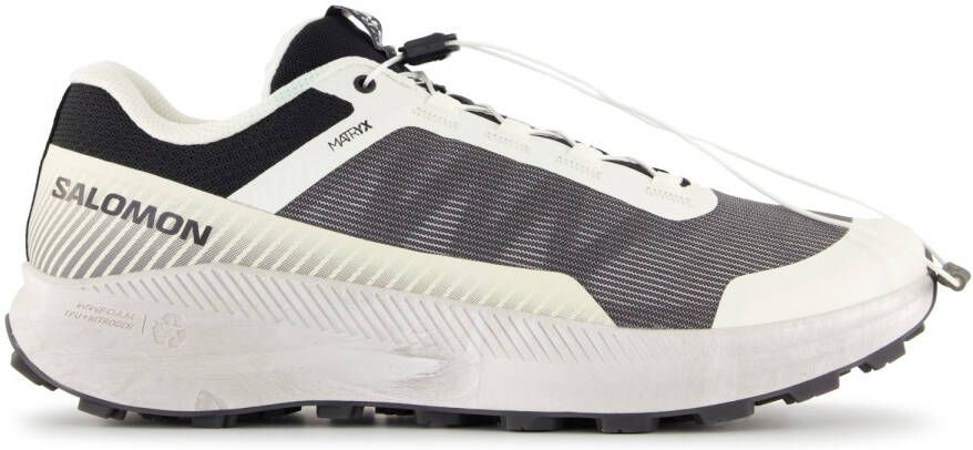 Salomon Vision Trailrunningschoenen 2 3 grijs