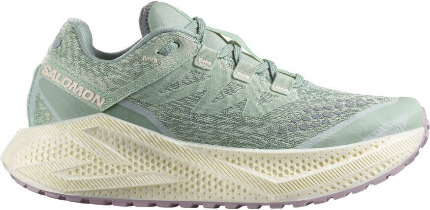 Salomon Women's Aero Glide 3 GRVL Hardloopschoenen beige