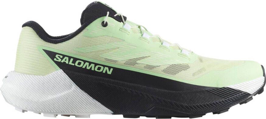 Salomon Women's Pulsar Trailrunningschoenen 2 3 groen