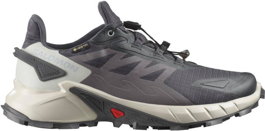 Salomon Women's Supercross 4 GORE-TEX Trailrunningschoenen 2 3 grijs