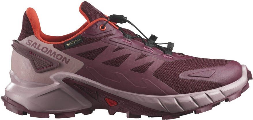 Salomon Women's Supercross 4 GORE-TEX Trailrunningschoenen 2 3 meerkleurig