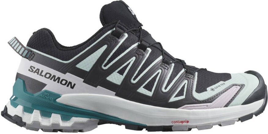 Salomon Women's XA Pro 3D V9 GTX Multisportschoenen grijs