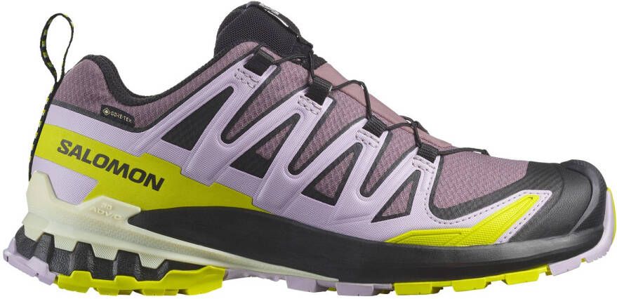 Salomon Women's XA Pro 3D V9 GTX Multisportschoenen meerkleurig