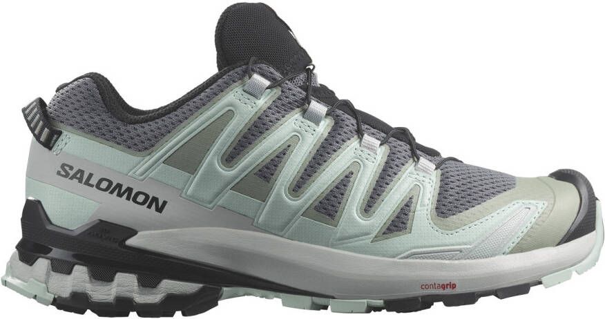 Salomon Women's XA Pro 3D V9 Multisportschoenen grijs