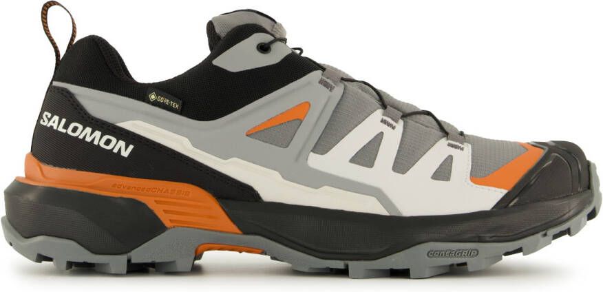 Salomon X Ultra 360 GTX Multisportschoenen grijs