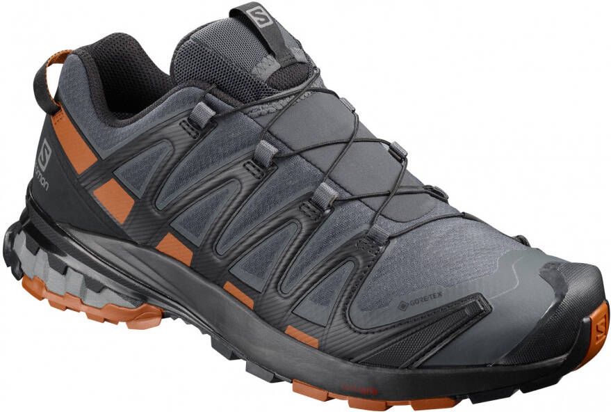 Salomon XA Pro 3D V8 GTX Multisportschoenen grijs