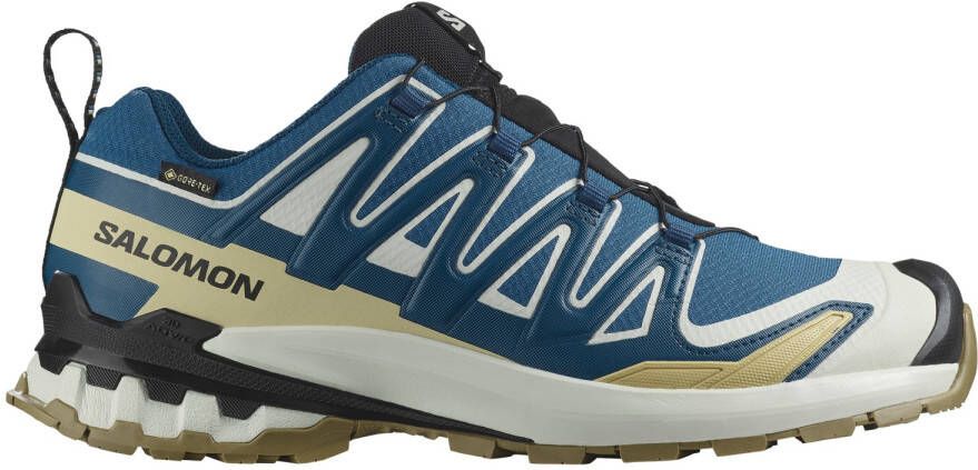 Salomon XA Pro 3D V9 GTX Multisportschoenen blauw