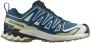 Salomon XA Pro 3D V9 GTX Multisportschoenen blauw - Thumbnail 2