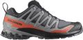 Salomon XA PRO 3D V9 GTX GORE-TEX Heren Wandelschoenen Trail-Running Schoenen - Grijs