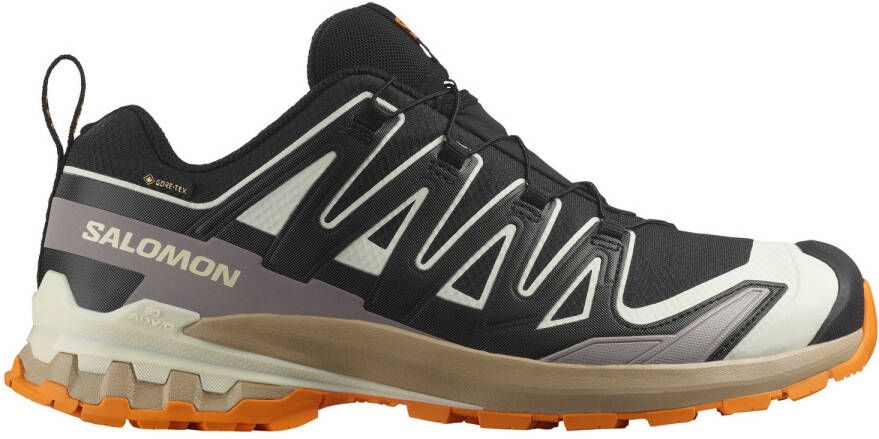 Salomon XA Pro 3D V9 GTX Multisportschoenen grijs