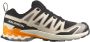 Salomon XA Pro 3D V9 Multisportschoenen 2 3 beige - Thumbnail 1