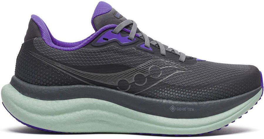 Saucony Women's Triumph 23 GTX Hardloopschoenen grijs
