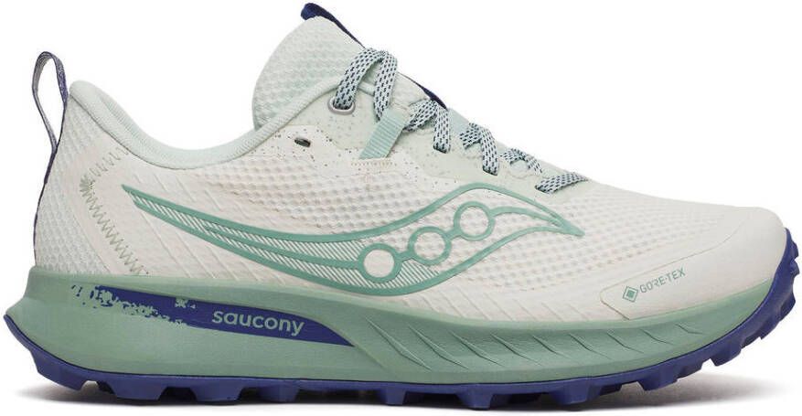 Saucony Women's Peregrine 15 GTX Trailrunningschoenen grijs