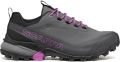 Scarpa Women's Ribelle Cross 2 GTX Multisportschoenen grijs - Grijs