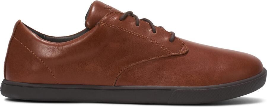 Xero Shoes Glenn Dress Barefootschoenen bruin