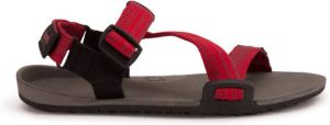 Xero Shoes Youth Z-Trail Barefootschoenen maat 12K zwart