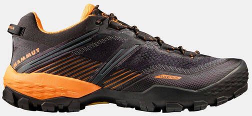 Mammut Ducan II Low GTX Multisportschoenen zwart