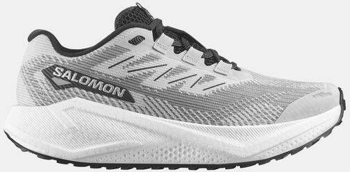 Salomon Aero Blaze 3 GRVL Hardloopschoen Grijs