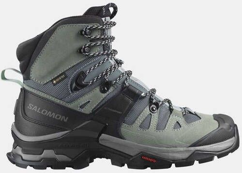 Salomon Quest 4 GTX Dames Wandelschoen Grijs