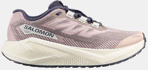 Salomon Aero Blaze 3 GRVL Hardloopschoen Dames Grijs