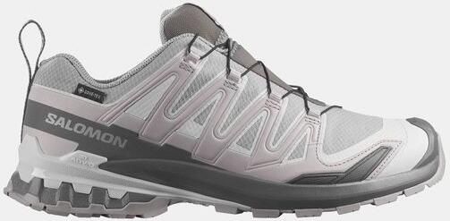 Salomon XA Pro 3D V9 Gore-Tex Trailschoen Heren Grijs