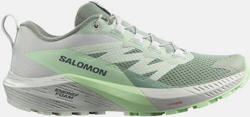 Salomon Sense Ride 5 Trailschoen Dames Grijs