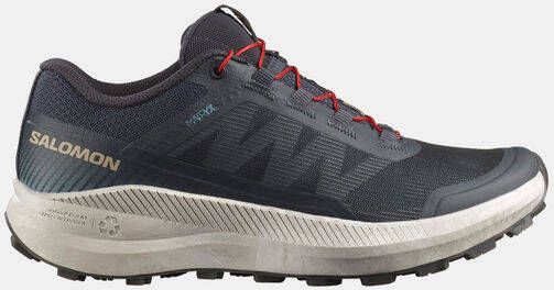 Salomon Vision Trailrunningschoenen grijs