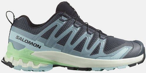 Salomon Women's XA Pro 3D V9 Multisportschoenen grijs