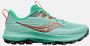 Saucony Peregrine 13 Trailschoen Dames Blauw - Thumbnail 1