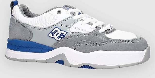 DC Ascend Skate Schoenen grijs