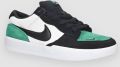 Nike SB Force 58 Skate Schoenen patroon - Wit