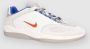Nike Sb Vertebrae Skate Schoenen wit - Thumbnail 2
