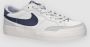 Nike SB Zoom Pogo Plus skateschoenen voor dames Grijs - Thumbnail 2
