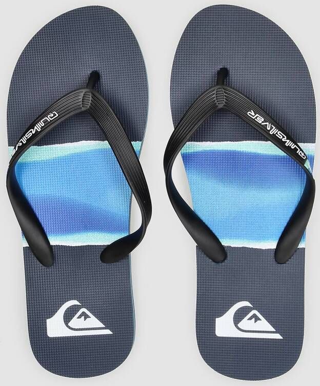 Quiksilver Molokai Airbrushed Sandalen blauw