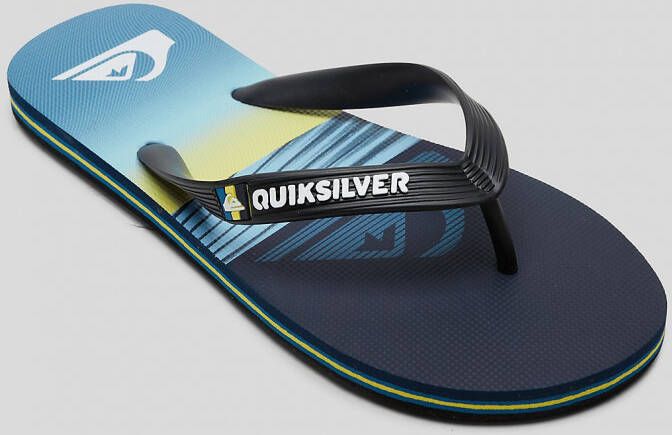 Quiksilver Molokai Art Sandalen blauw