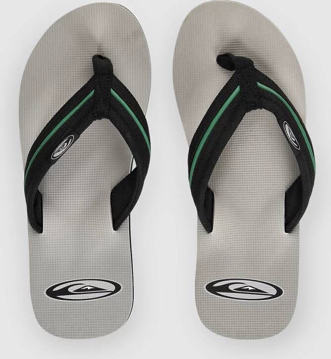 Quiksilver Molokai Layback Saturn Sandalen grijs