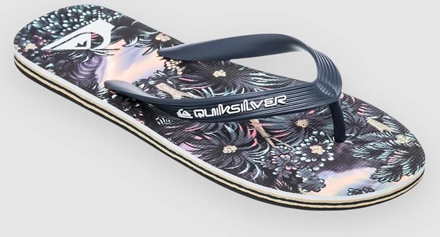 Quiksilver Molokai Art 25 Sandalen blauw