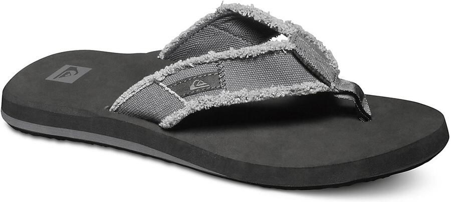 Quiksilver Monkey Abyss Sandalen grijs