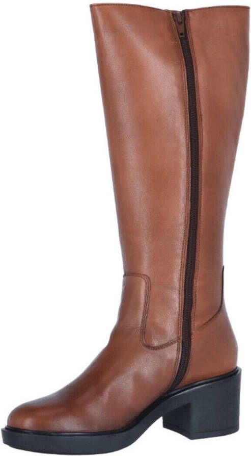 5pm Dames Laars Cognac