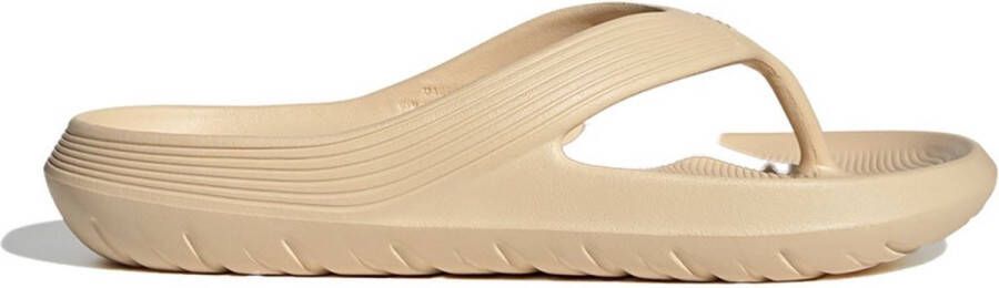 Adidas Adicane Slippers Beige Man