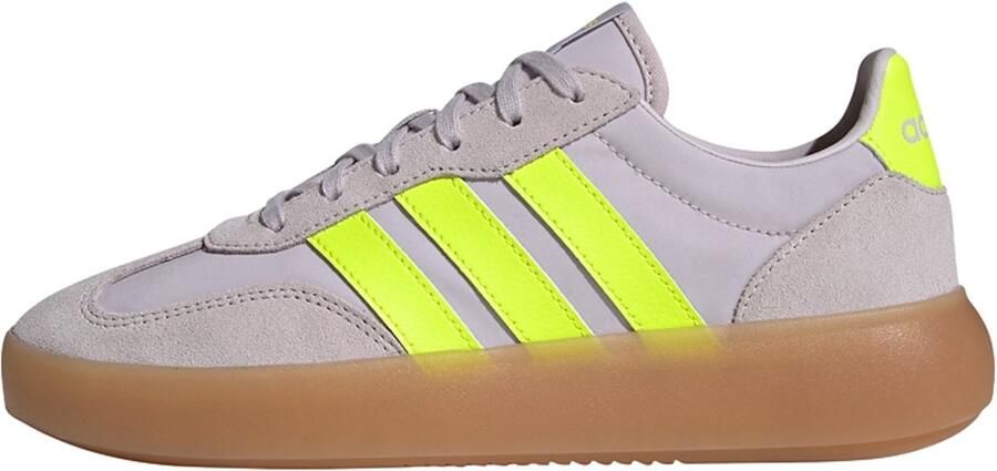 Adidas Sportswear Barreda Decode Schoenen Dames Paars