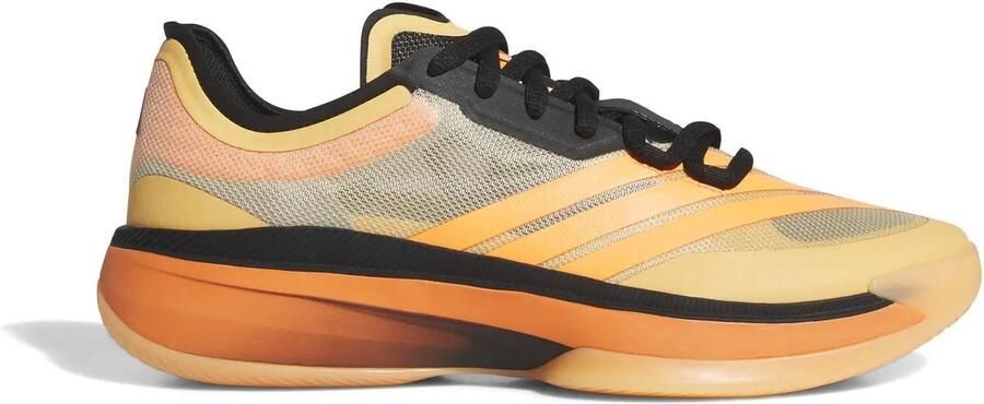Adidas Basketbalschoenen Adizero Select